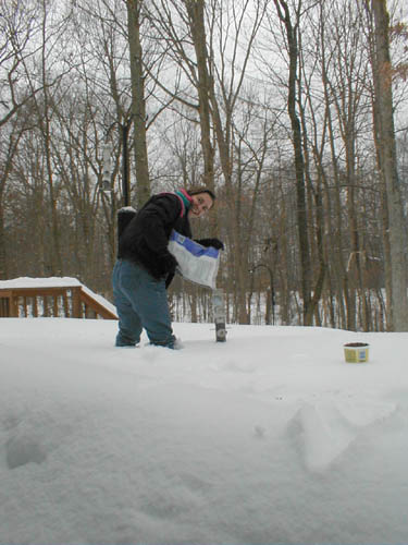 filling the birdfeeder