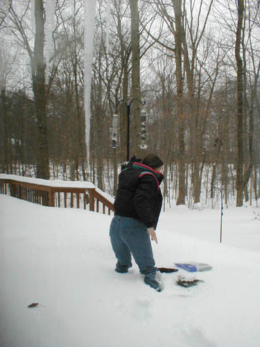 replacing the birdfeeder