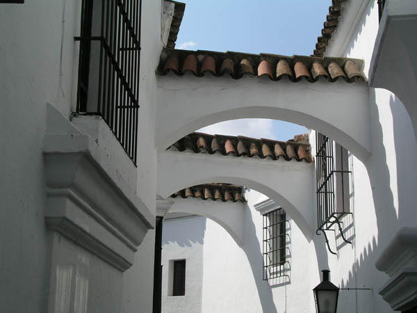 P1010197