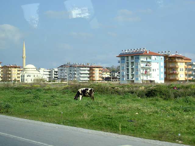 01DSC00694