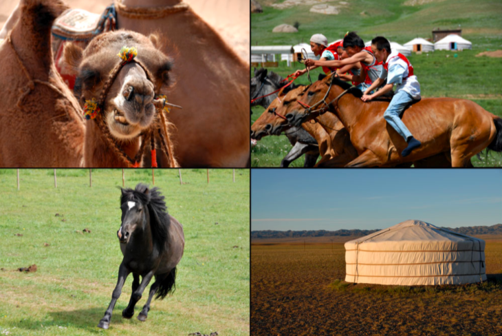 Mongolia collage