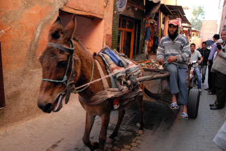 Marakkesh taxi