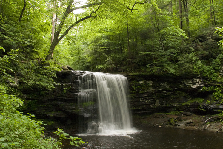 Ricketts Glen